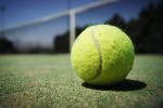 Hubert Hurkacz udanie rozpoczyna eliminacje US Open, pixabay.com