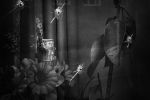 „Bajki niczyje” Rycerskiej na wystawie Za Szafą, Jolanta Rycerska