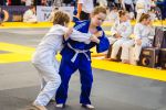 W niedzielę rusza Super Liga Judo 2019. Pierwsze zawody w Jordanowie Śląskim, Judo Tigers