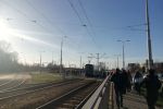Wrocław: w tramwaju połamał się pantograf, mgo