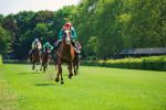 Bogata historia wyścigów konnych - od starożytności, przez klasyczne gonitwy, po sporty wirtualne, 