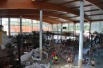Oto jedna z najpopularniejszych stref rekreacji na Dolnym Śląsku [WIDEO], mgo