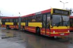 MPK Wrocław sprzedaje 42 stare autobusy Volvo, archiwum