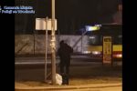 Nietypowa próba kradzieży we Wrocławiu. 67-latek toporkiem połamał znak [WIDEO], KMP Wrocław