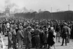 Koncert, modlitwa i wykład z okazji Dnia Pamięci o Ofiarach Holokaustu, Wikipedia(PD)