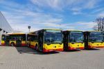 30 nowych autobusów od soboty wyjedzie na wrocławskie ulice [ZDJĘCIA], mat. prasowe