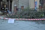Na ulicę Świdnicką spadło duże drzewo. Zniszczenia usuwa parafia [ZDJĘCIA], mgo
