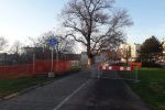 Budują nowy nadodrzański bulwar. Będzie gotowy wiosną [ZDJĘCIA], UM Wrocław