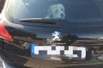 Pies w nagrzanym samochodzie. Animal Patrol interweniował na czas [ZDJĘCIA], Beata Dopierała/Staż Miejska Wrocławia