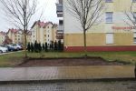 Wrocław: Sklep mięsny zniknął w biały dzień. Ktoś go ukradł?, mgo