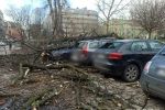 Wrocław: orkan Dudley siał spustoszenie w mieście i regionie, Straż Miejska Wrocław