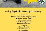 Wrocławianie dla uchodźców z Ukrainy. Czekają dworcu, przywożą dary, oferują bezpłatne usługi, Dolnośląska Straż dla Zwierząt