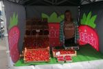 Targowiska i bazary we Wrocławiu. W tych miejscach we Wrocławiu kupisz świeże warzywa i owoce [MIEJSCA, CENY], mat. pras.