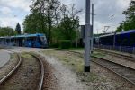 Wrocław: Tramwaje wróciły do Leśnicy [ZDJĘCIA, ROZKŁAD JAZDY], mgo