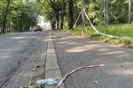 Maratończycy przebiegli w sobotę, ale śmieci wciąż zalegają na ulicach, Czytelnik