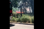 Wrocław: Duży pożar na zachodzie miasta [FILM], Czytelniczka