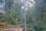 Drzewo z Parku Szczytnickiego uszkodziło słup trakcyjny. Konieczne uruchomienie komunikacji zastępczej, mg