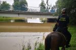 Zagrożenie powodziowe we Wrocławiu. Straż miejska ostrzega, rzeki wzbierają, SM Wrocław