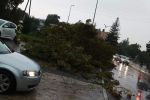 Cyklon Peggy we Wrocławiu. Drzewo spadło na człowieka, ulice pod wodą, OSP Sobótka Zachodnia
