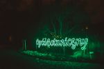 Światłogród. Ogród Botaniczny we Wrocławiu rozbłysnął na kolorowo [ZDJĘCIA], Ivan Prinus