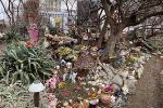 Wrocław: Horror czy instalacja artystyczna? Skwer na Nowym Dworze wywołuje skrajne reakcje, Jakub Jurek