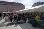 Wrocławski Smaczny Weekend. Na Nowym Targu jedzenie i alpaki [ZDJĘCIA], mgo