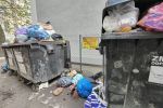 Mieszkańcy Przedmieścia Oławskiego walczą o wiatę na odpady. Sąsiedzi podrzucają im śmieci, Zdjęcie nadesłane przez czytelnika