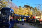 Wrocław: Wykolejenie tramwaju na pętli Sępolno, Czytelnik