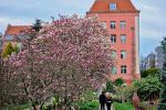 Ogród Botaniczny we Wrocławiu pełen kolorów. Ale tu pięknie!, Renata Kusztan