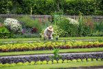 Wiosenne porządki w ogrodzie - oni zrobią to za nas! Ogrodnik we Wrocławiu, ile to kosztuje?, pixabay
