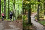 Lasy w okolicach Wrocławia - najciekawsze pomysły na spacer i piknik - tu odetchniesz od miasta [POMYSŁY NA WYCIECZKĘ], Gmina Trzebnica