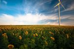OZE – co warto wiedzieć o odnawialnych źródłach energii?, 