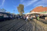 Wrocław: Rośliny, kawa i nie tylko. Tłumy na festiwalu w Czasoprzestrzeni [ZDJĘCIA], Klaudia Kłodnicka