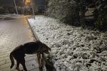 Zima we Wrocławiu: śnieg, ślisko i zimno!, Kinga Mierzwiak