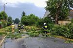 Cyklon Zoltan we Wrocławiu. Wypadki, powalone drzewa, zerwane sieci i ranni, Oława112