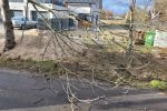 Cyklon Zoltan we Wrocławiu. Wypadki, powalone drzewa, zerwane sieci i ranni, OSP Radwanice