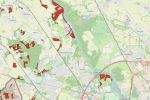 Minister wprowadza zakaz wycinki lasów we Wrocławiu i okolicach, 