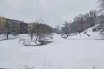 Tak wygląda zima we Wrocławiu w Waszych obiektywach. Niezwykłe zdjęcia i film, Karolina Jamróz