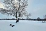 Tak wygląda zima we Wrocławiu w Waszych obiektywach. Niezwykłe zdjęcia i film, Karolina Kratochwil