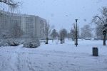 Tak wygląda zima we Wrocławiu w Waszych obiektywach. Niezwykłe zdjęcia i film, Paweł Najdek