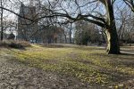 Pierwszy powiew wiosny we Wrocławiu. Tłumy w parkach i na ulicach, Klaudia Kłodnicka