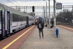 Wypadek na torach we Wrocławiu. Człowiek wpadł pod pociąg, ratując psa, Jakub Jurek