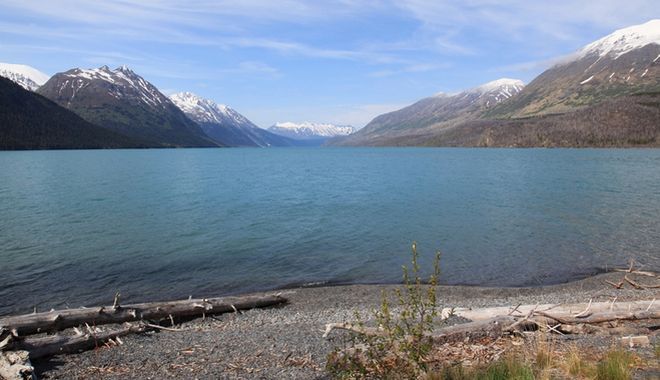 Alaska – piękno dzikiej natury, w obiektywie Sebastiana Bielaka, materiały organizatora