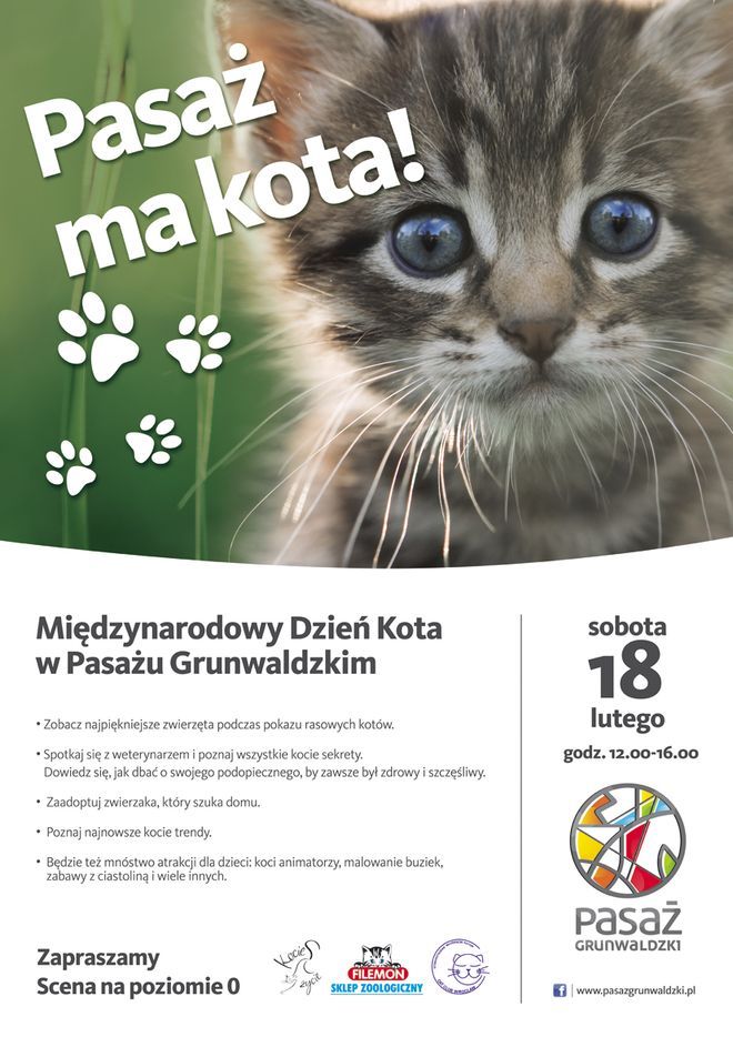 W sobotę we Wrocławiu obchody światowego dnia kota, mat. pras.