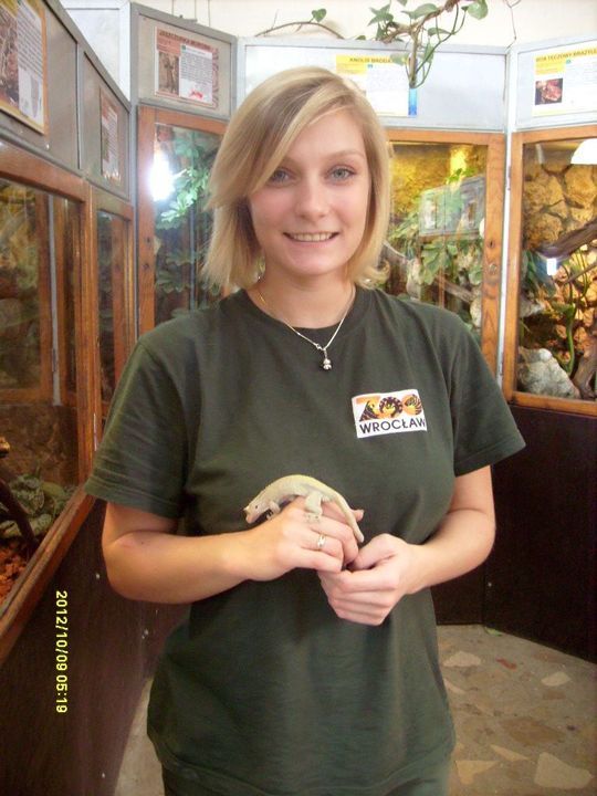 Świat za szybą terrarium w ZOO - poznaj zwierzęta, które lubią miód i gubią ogon, Barbara Surmiak