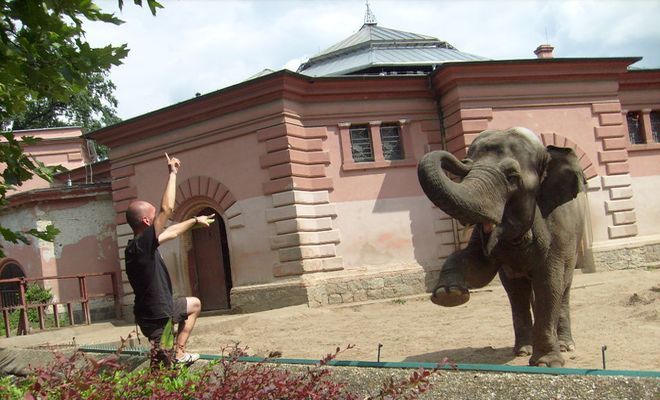 Opiekun słoni opowie dzieciom o swoich podopiecznych 