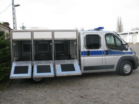 W akcji pomagały policyjne psy