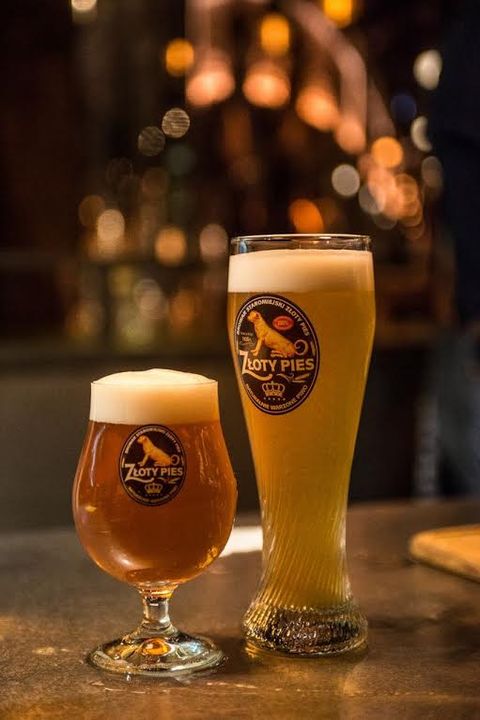Niedawno otworzyli rzemieślniczy browar, a piwo z Wrocławia już zostało nagrodzone, mat. prasowe