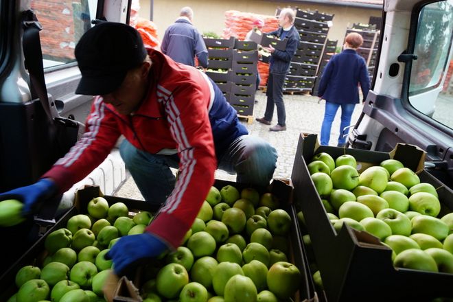 Wrocławska Caritas rozdała w mieście ponad 40 ton jabłek i marchewek [ZDJĘCIA], mat. prasowe