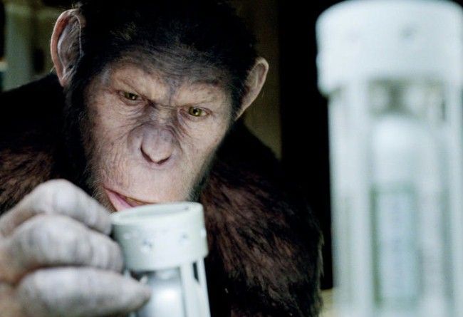 Premiera w Heliosie: „Geneza planety małp” - BILETY!, filmweb.pl